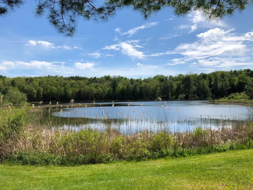 Agia Markella Greek Orthodox Church of Northern Chios Society of Pelineon, Kenoza Lake, NY — photo 15 of 15
