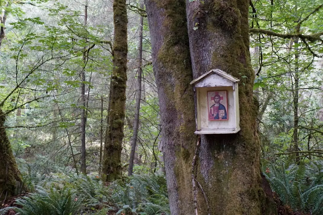 All-Merciful Saviour Orthodox Christian Monastery, Vashon, WA — photo 10 of 19
