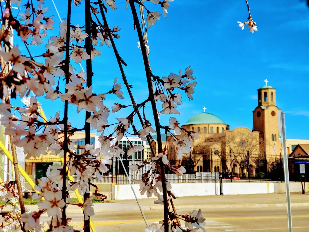Annunciation Greek Orthodox Cathedral, Columbus, OH — photo 18 of 19