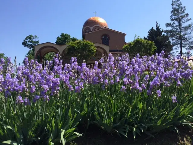 Annunciation Greek Orthodox Church, Elkins Park, PA — photo 6 of 15