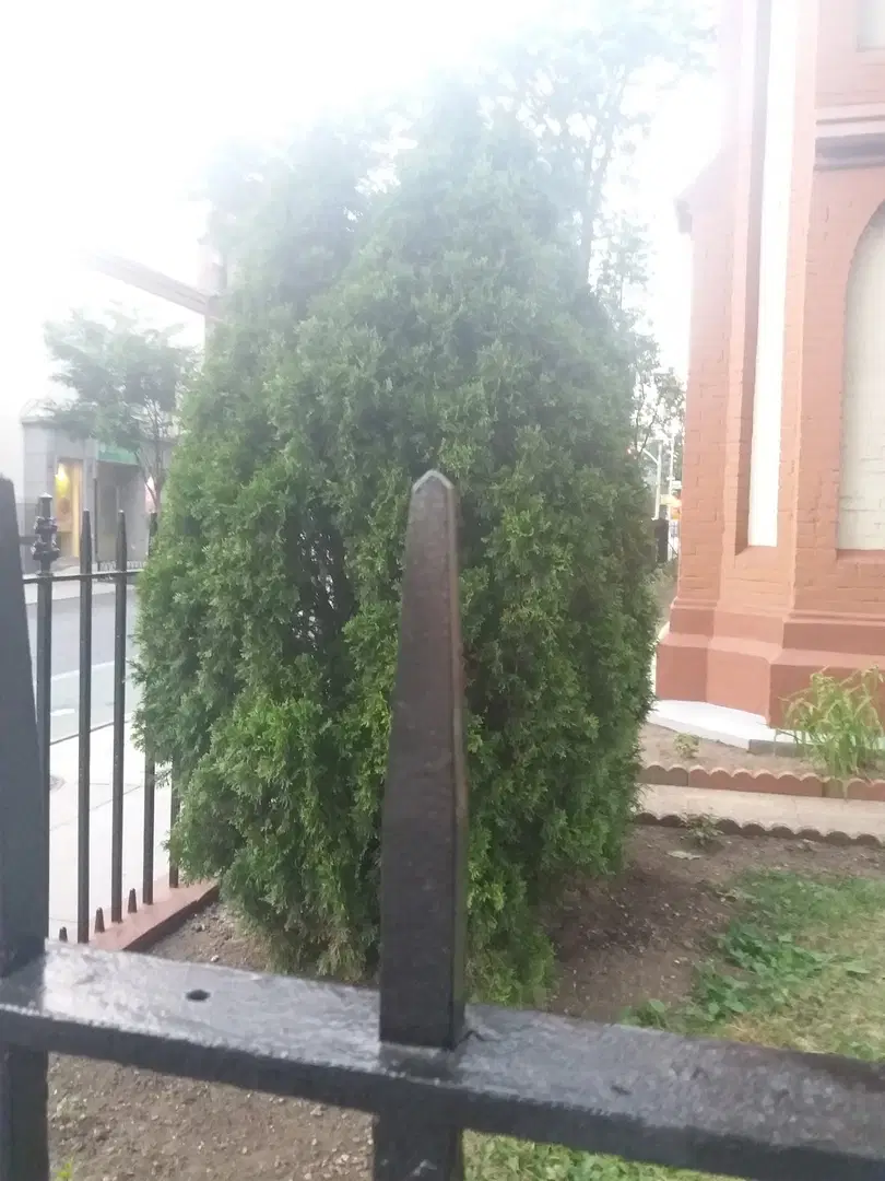 Belarusian Autocephalous Orthodox Church, Brooklyn, NY — photo 11 of 20