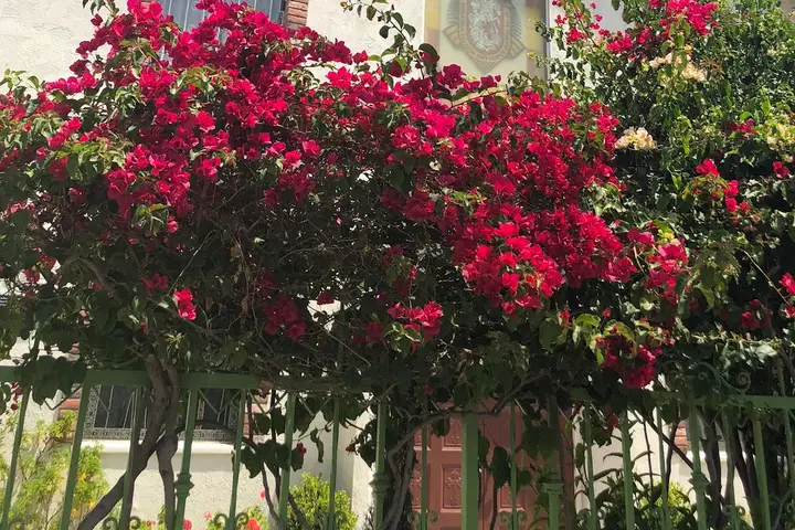 Bulgarian Eastern Orthodox Church - St. George, Los Angeles, CA — photo 5 of 6