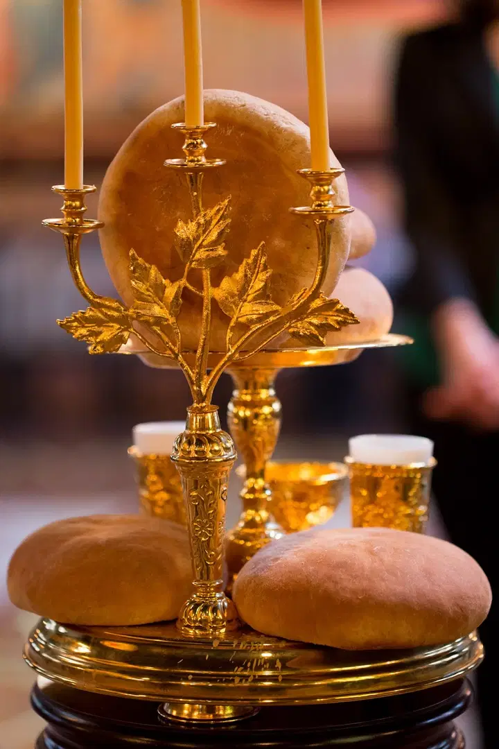 Christ the Savior Orthodox Christian Church, Chicago, IL — photo 18 of 19
