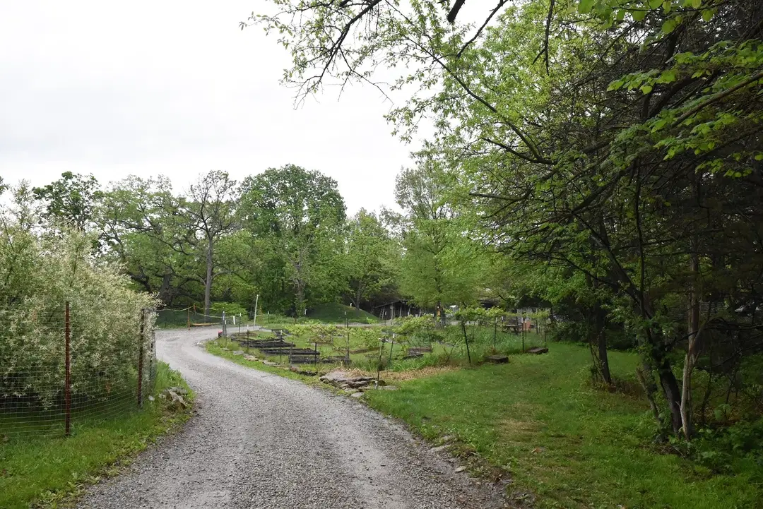 Holy Archangel Michael & All Angels Skete, Weatherby, MO — photo 14 of 15