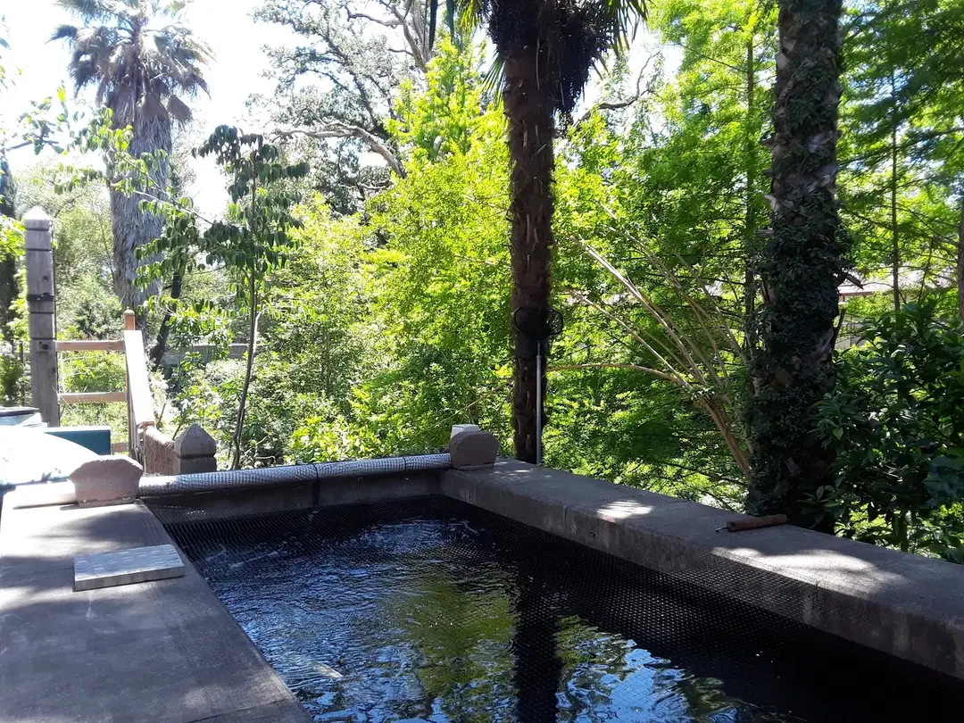 Holy Assumption Monastery, Calistoga, CA — photo 15 of 19