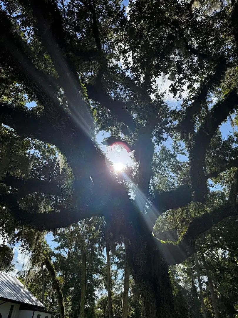 Holy Cross Orthodox Church, Fort Myers, FL — photo 13 of 15