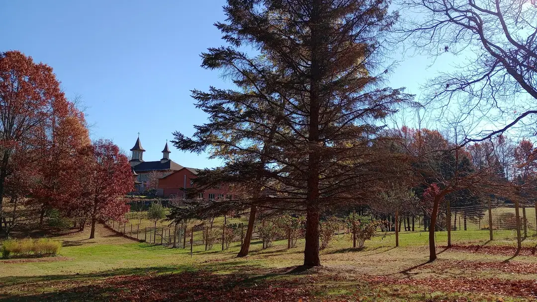 Holy Dormition Orthodox Monastery, Rives Junction, MI — photo 14 of 19
