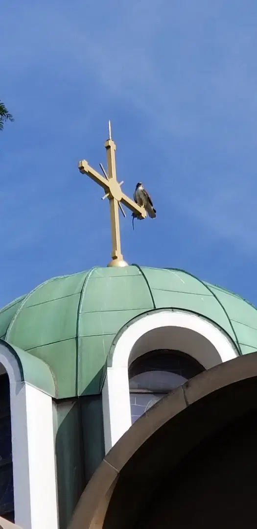Holy Resurrection Serbian Orthodox Cathedral, Chicago, IL — photo 14 of 19