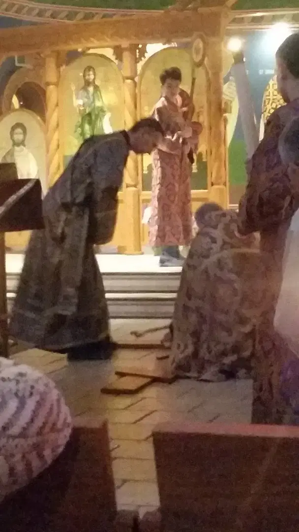 Holy Transfiguration Orthodox, Livonia, MI — photo 15 of 19