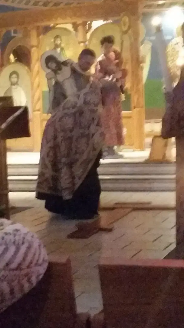 Holy Transfiguration Orthodox, Livonia, MI — photo 18 of 19