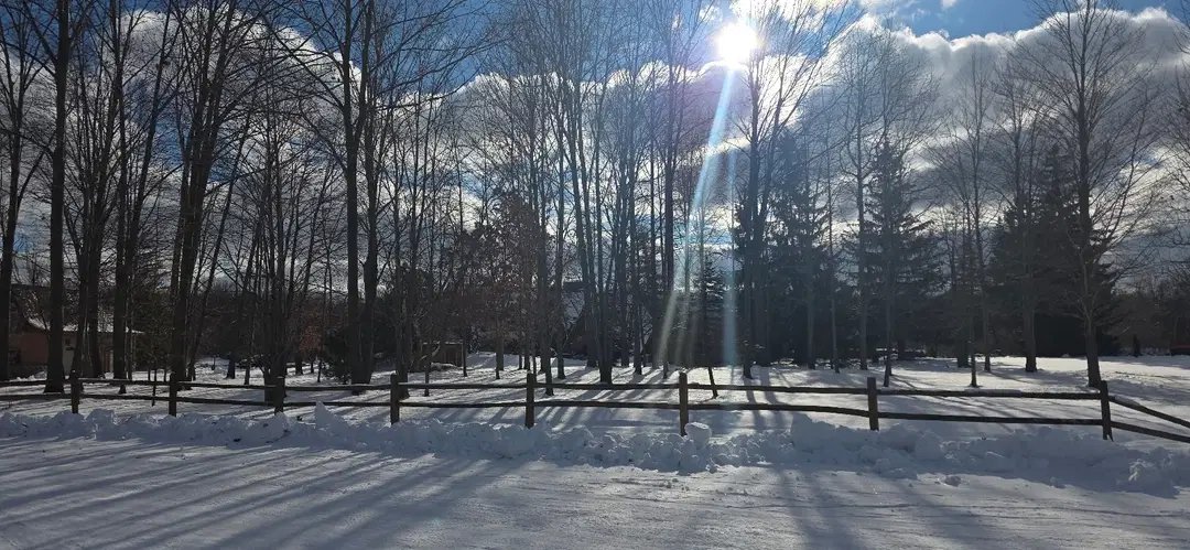 Holy Trinity Monastery, Smiths Creek, MI — photo 19 of 20