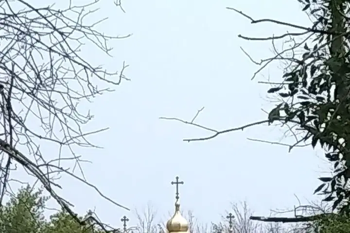 Holy Trinity Ukrainian Orthodox Church, Cheektowaga, NY — photo 3 of 19