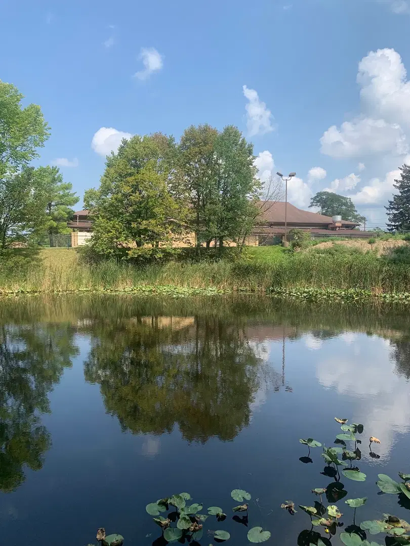 Holy Trinity Ukrainian Orthodox Church of the OCU, North Royalton, OH — photo 6 of 18