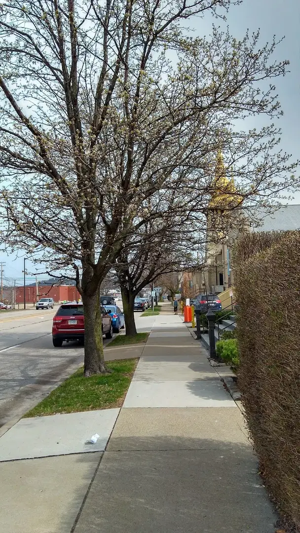 Holy Virgin Russian Orthodox Church, Carnegie, PA — photo 17 of 20
