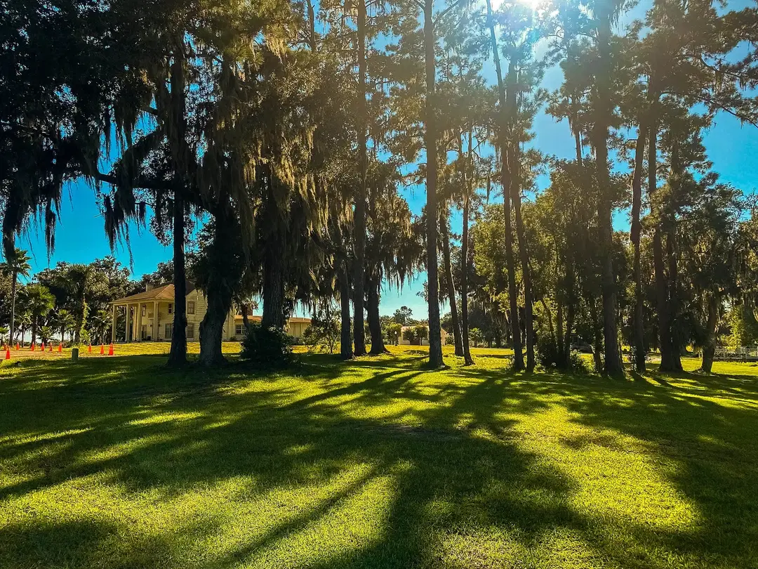 Panagia Vlahernon Greek Orthodox Monastery, Williston, FL — photo 8 of 16