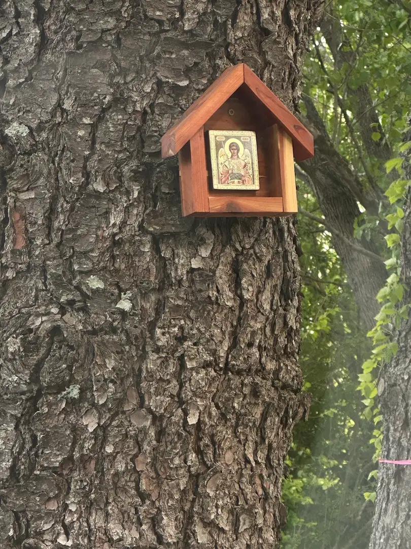 Protection of the Holy Virgin Mary Orthodox Church, Clarksville, TN — photo 6 of 10