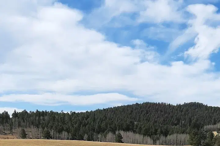 Protection of the Holy Virgin Orthodox Monastery, Florissant, CO — photo 4 of 14