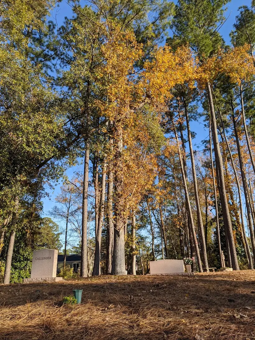Saint Basil the Great Orthodox Church, Castle Hayne, NC — photo 13 of 20