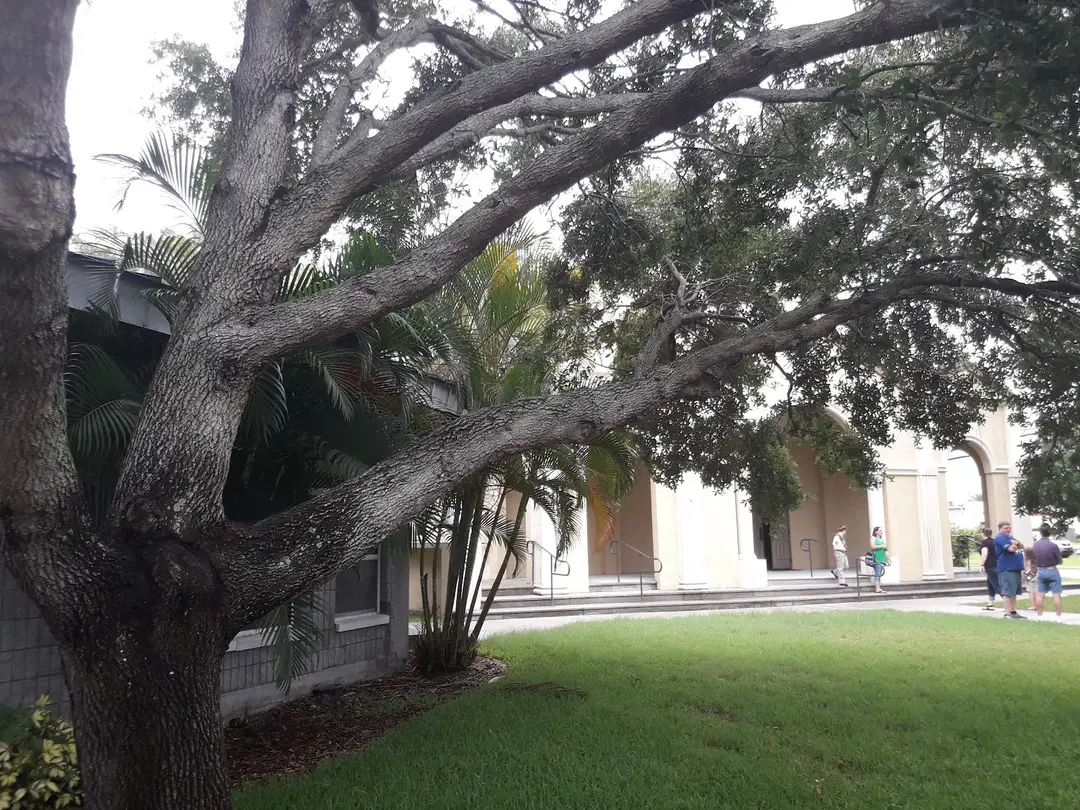 Saint Nicholas Orthodox Church, Pinellas Park, FL — photo 11 of 20