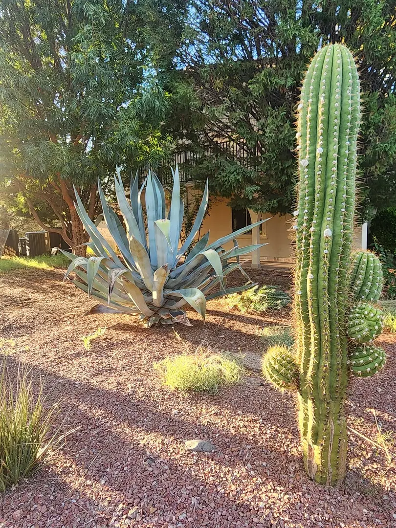 Saint Paisius Orthodox Monastery, Safford, AZ — photo 8 of 18