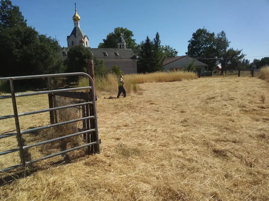 Saints Peter and Paul Russian Orthodox Church, Santa Rosa, CA — photo 7 of 19