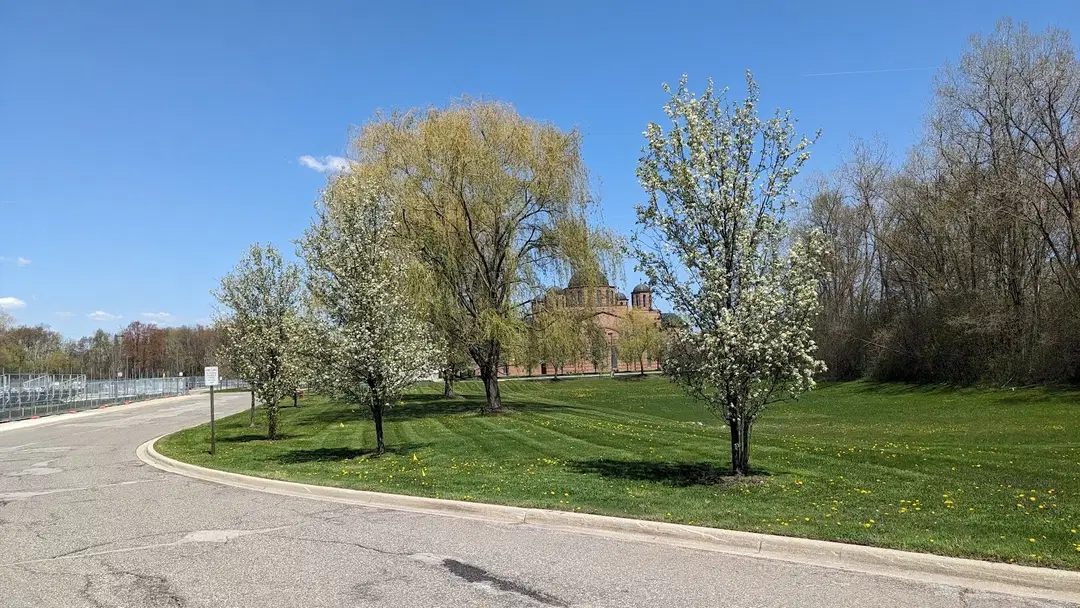 Serbian Orthodox Church Saint Petka Vratnica, Troy, MI — photo 10 of 19