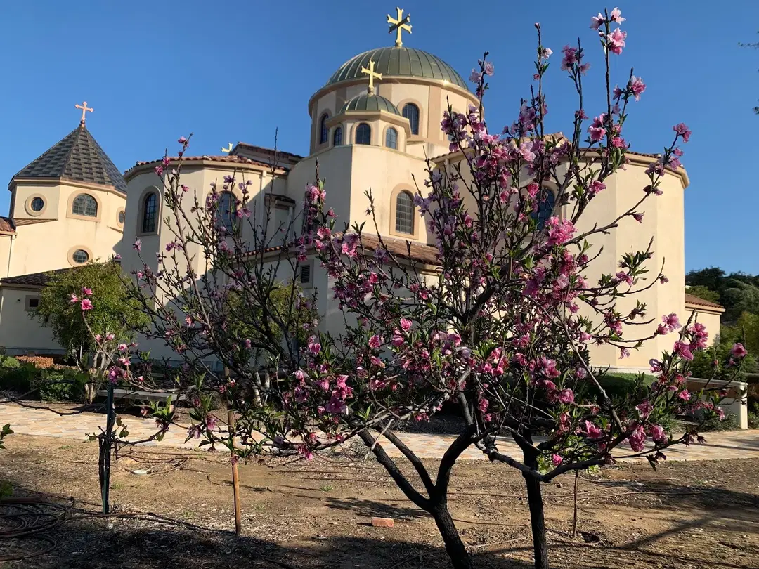 St. Andrew Orthodox Christian Church, Riverside, CA — photo 8 of 20