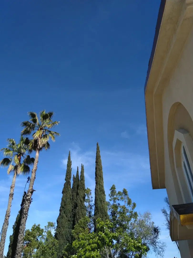 St. Andrew Ukrainian Orthodox Church of the USA, Los Angeles, CA — photo 5 of 19