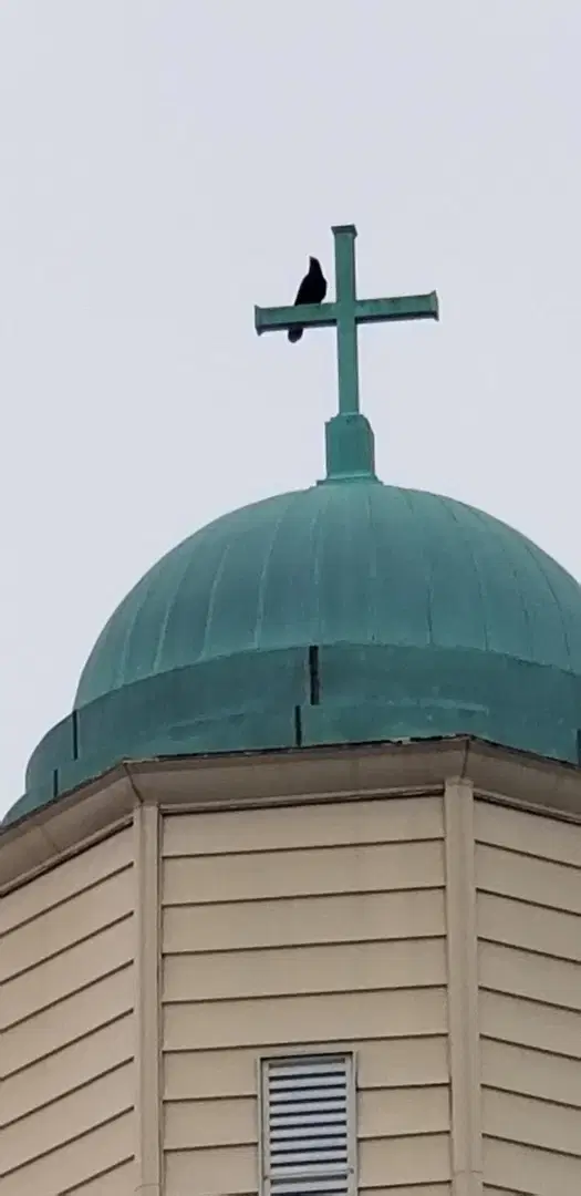 St. Demetrios Greek Orthodox Church, Perth Amboy, NJ — photo 13 of 19