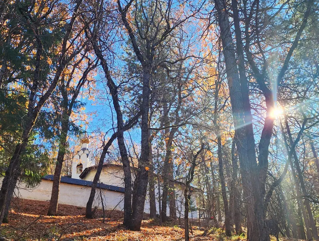 St. Herman of Alaska Orthodox Monastery, Platina, CA — photo 7 of 19
