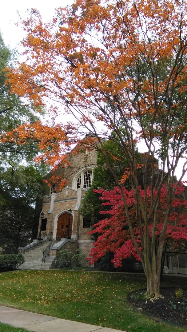 St. John Orthodox Church, Memphis, TN — photo 4 of 6