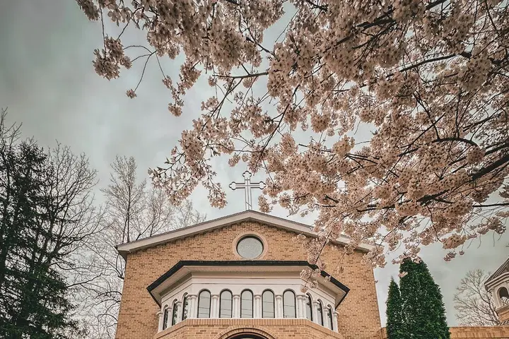 St. Mark Orthodox Church, Bethesda, MD — photo 5 of 19
