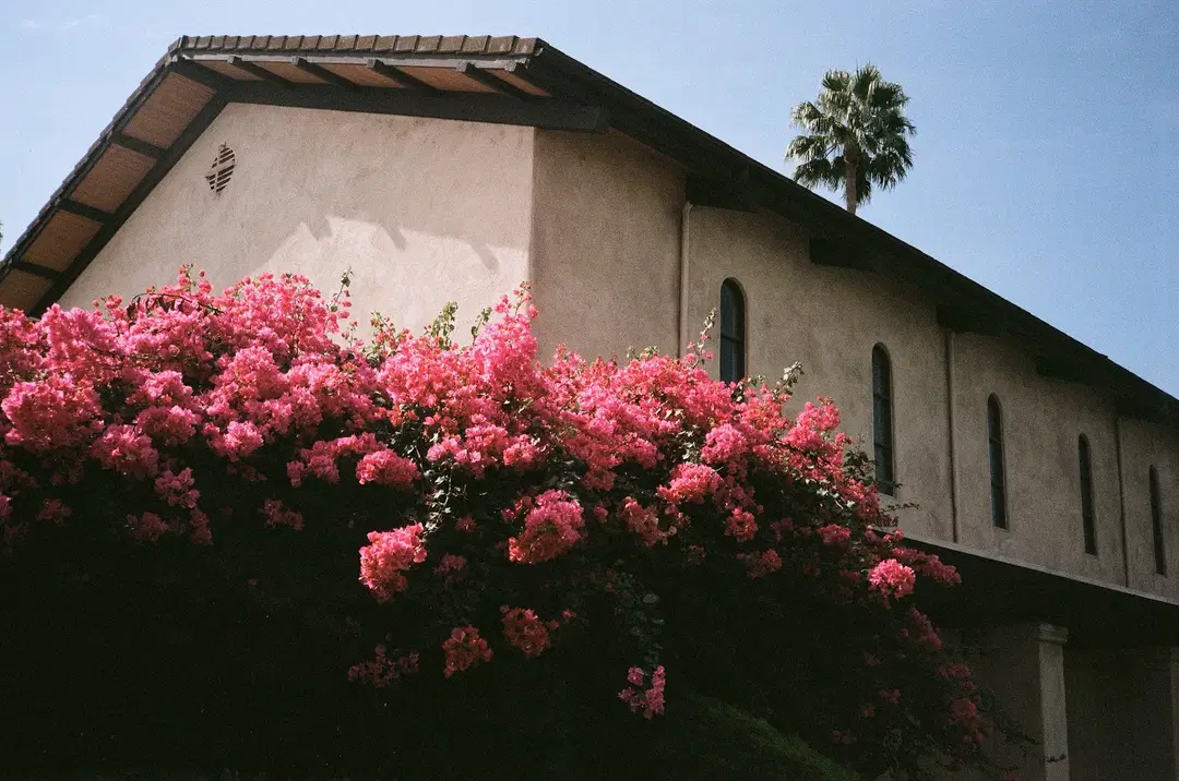 St. Michael Orthodox Christian Church, Whittier, CA — photo 11 of 18