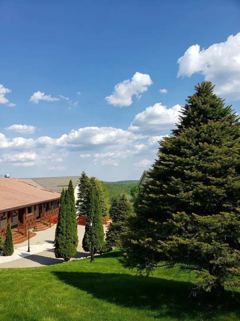 St. Nektarios Orthodox Monastery, Roscoe, NY — photo 17 of 19