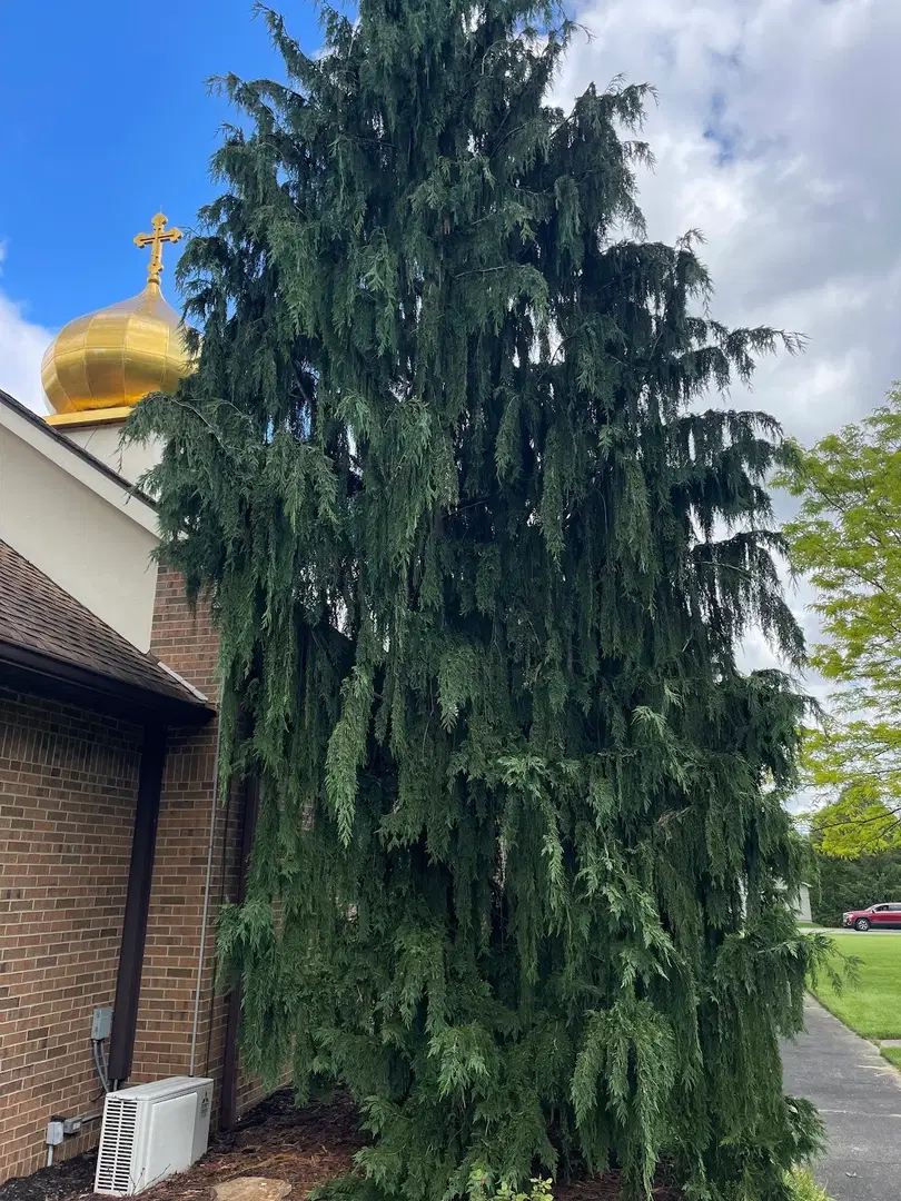 St. Nicholas Orthodox Church (Carpatho-Russian), Warren, OH — photo 16 of 20