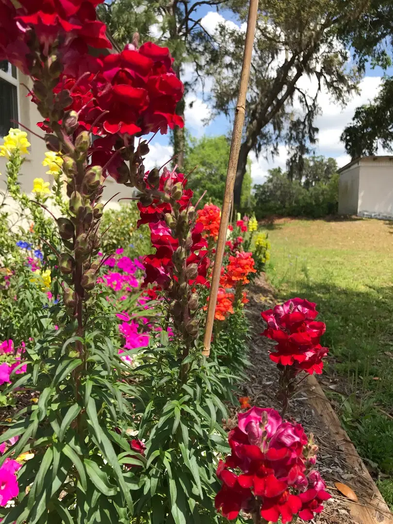 St. Raphael Orthodox Church, Inverness, FL — photo 14 of 18