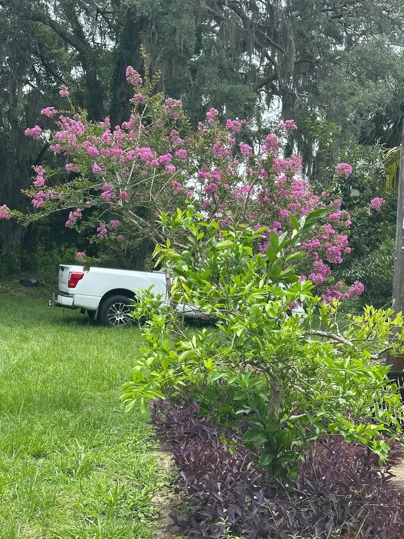 St. Raphael Orthodox Church, Inverness, FL — photo 15 of 18