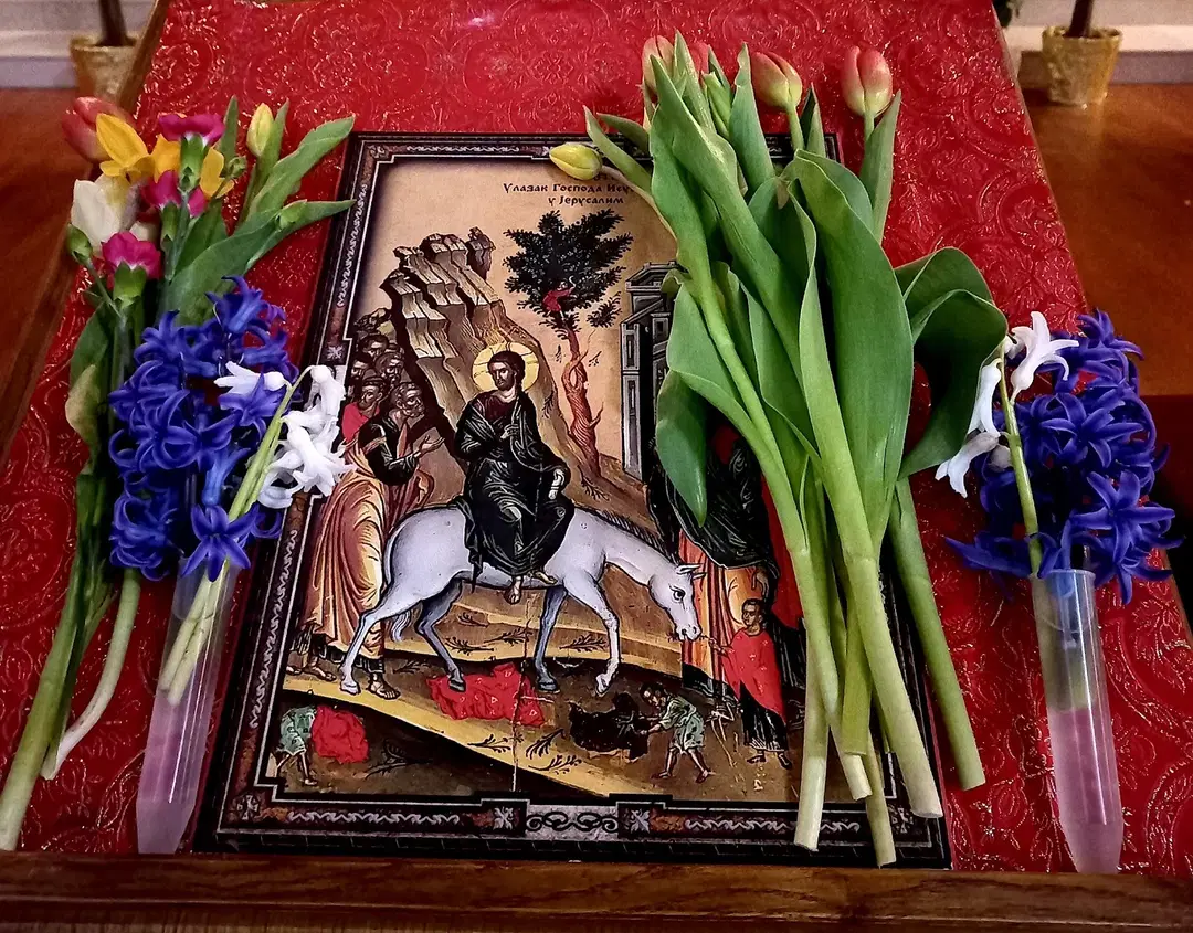 St. Sava Serbian Orthodox Cathedral, Cambridge, MA — photo 13 of 20