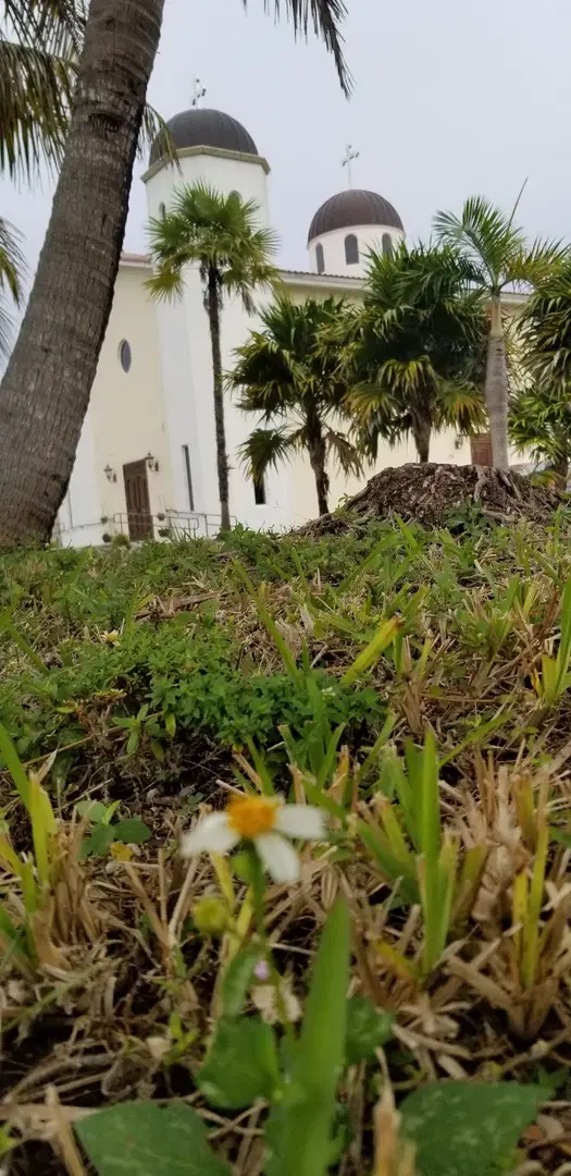 St. Simeon Serbian Orthodox Cathedral, Miami, FL — photo 14 of 20