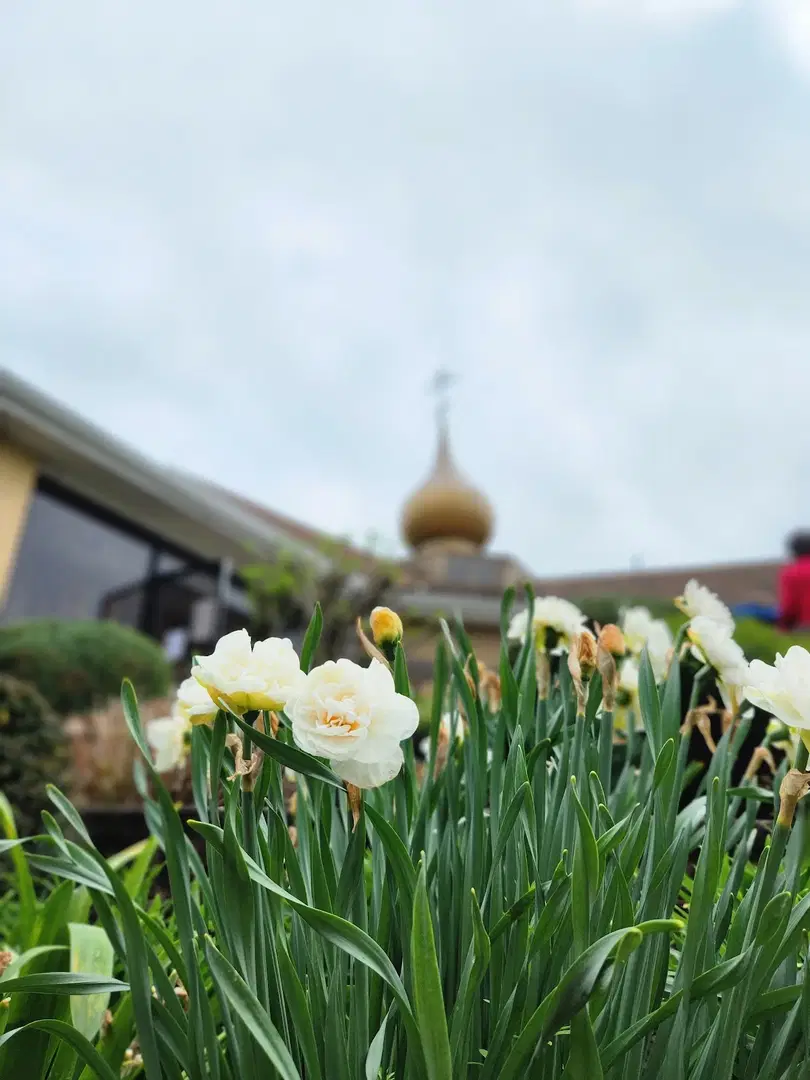 St. Stephen Orthodox Cathedral, Philadelphia, PA — photo 14 of 20