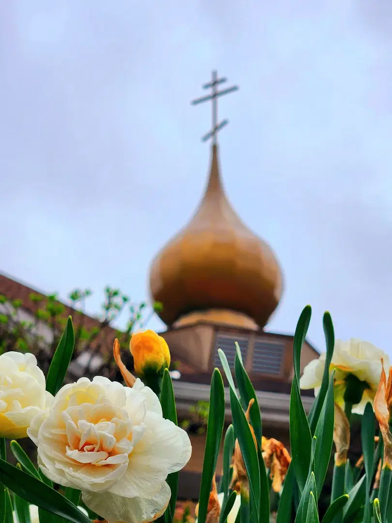 St. Stephen Orthodox Cathedral, Philadelphia, PA — photo 7 of 20