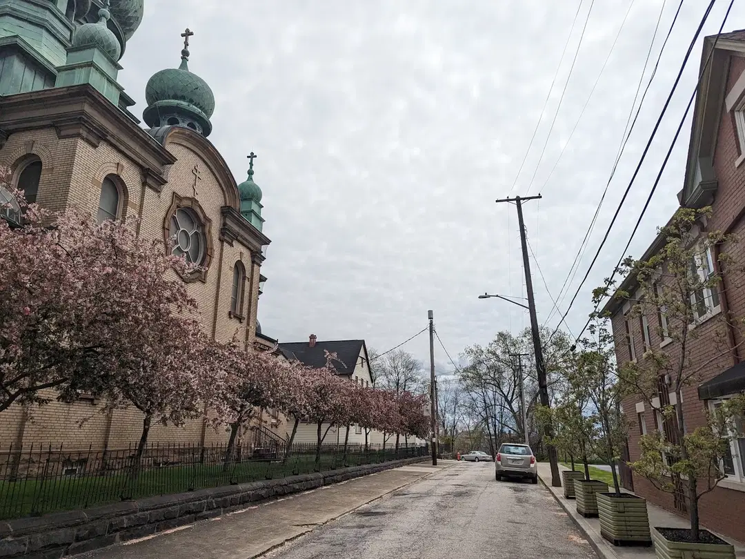St. Theodosius Orthodox Cathedral, Cleveland, OH — photo 11 of 20