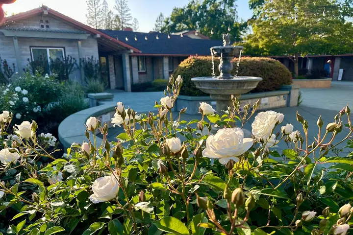St. Thomas the Apostle Mission, Pleasant Hill, CA — photo 4 of 8