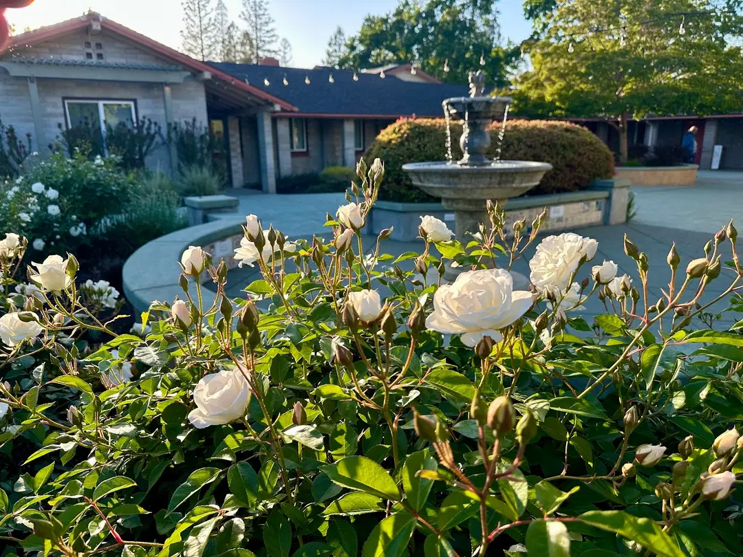 St. Thomas the Apostle Mission, Pleasant Hill, CA — photo 4 of 8