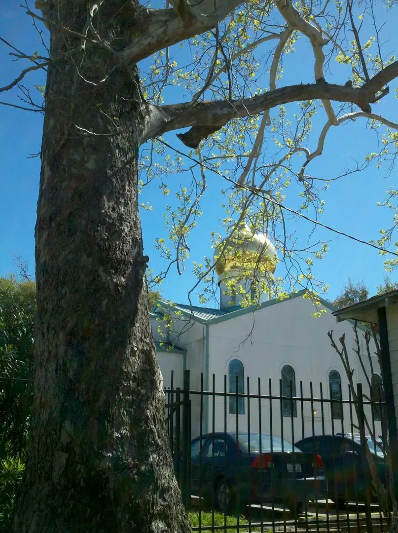 St. Vladimir Russian Orthodox Church, Houston, TX — photo 11 of 16