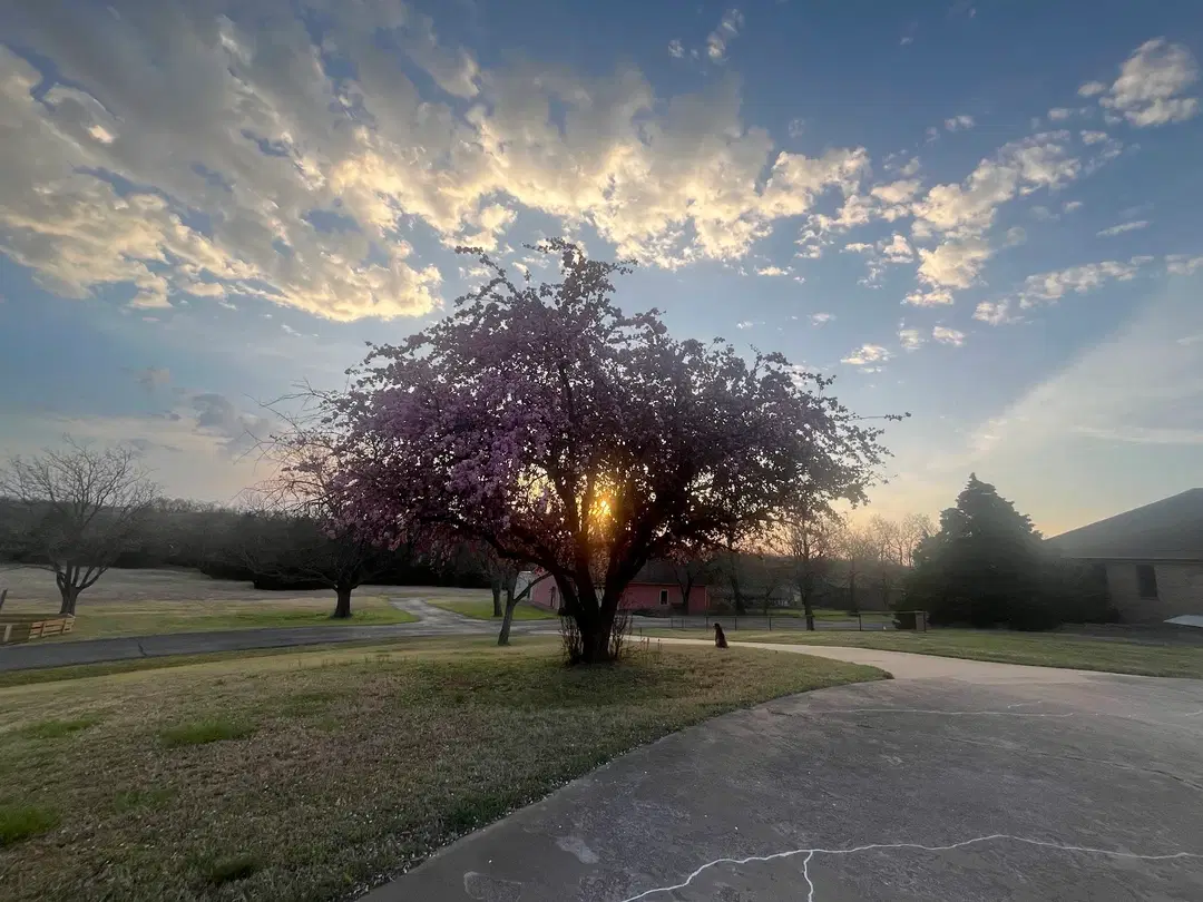The Great Sacred Monastery of Saint Iakovos “New Studion”, Piedmont, OK — photo 10 of 20