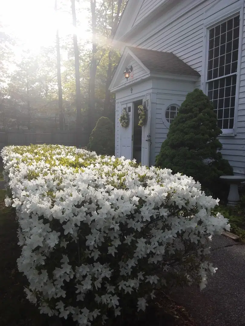 The Orthodox Christian Church of the Holy Transfiguration, Pearl River, NY — photo 3 of 14
