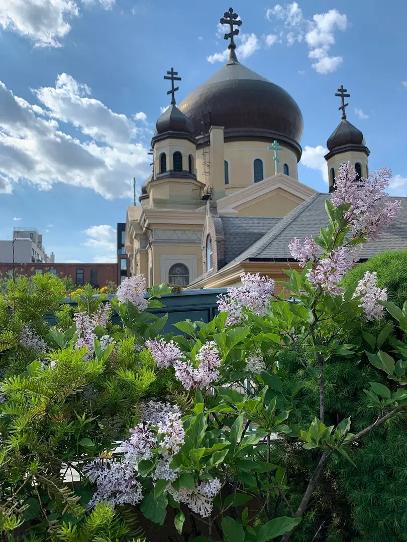 Transfiguration of Our Lord Russian Orthodox Cathedral, Brooklyn, NY — photo 8 of 17