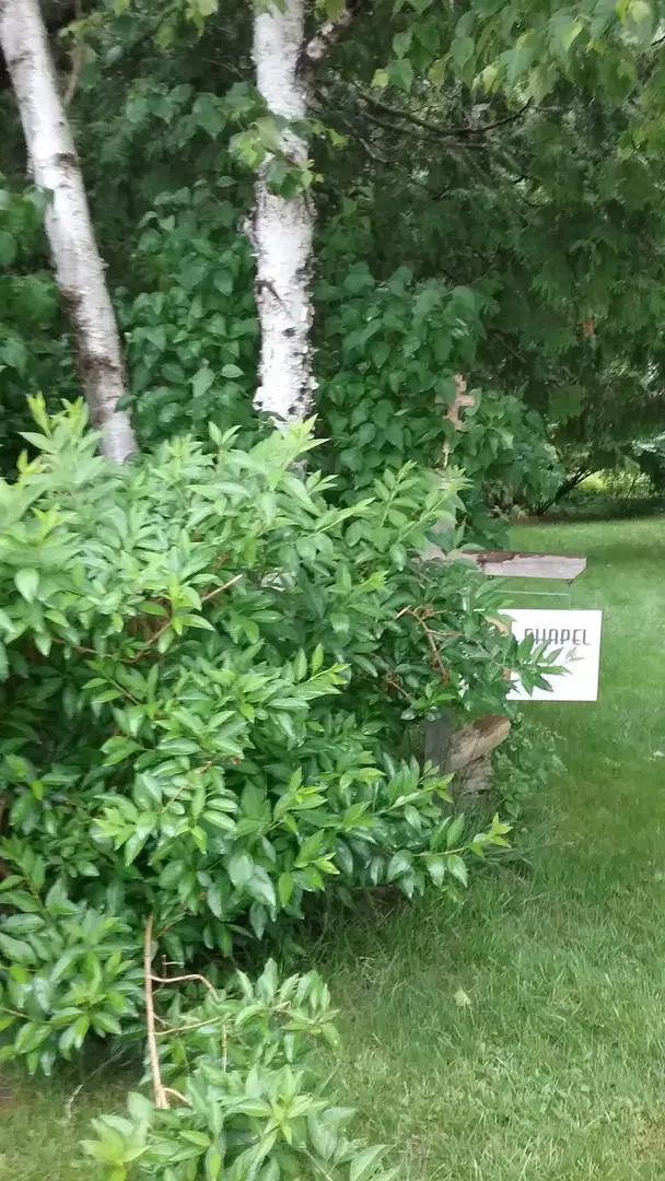 Transfiguration of Our Lord, Sister Bay, WI — photo 13 of 19