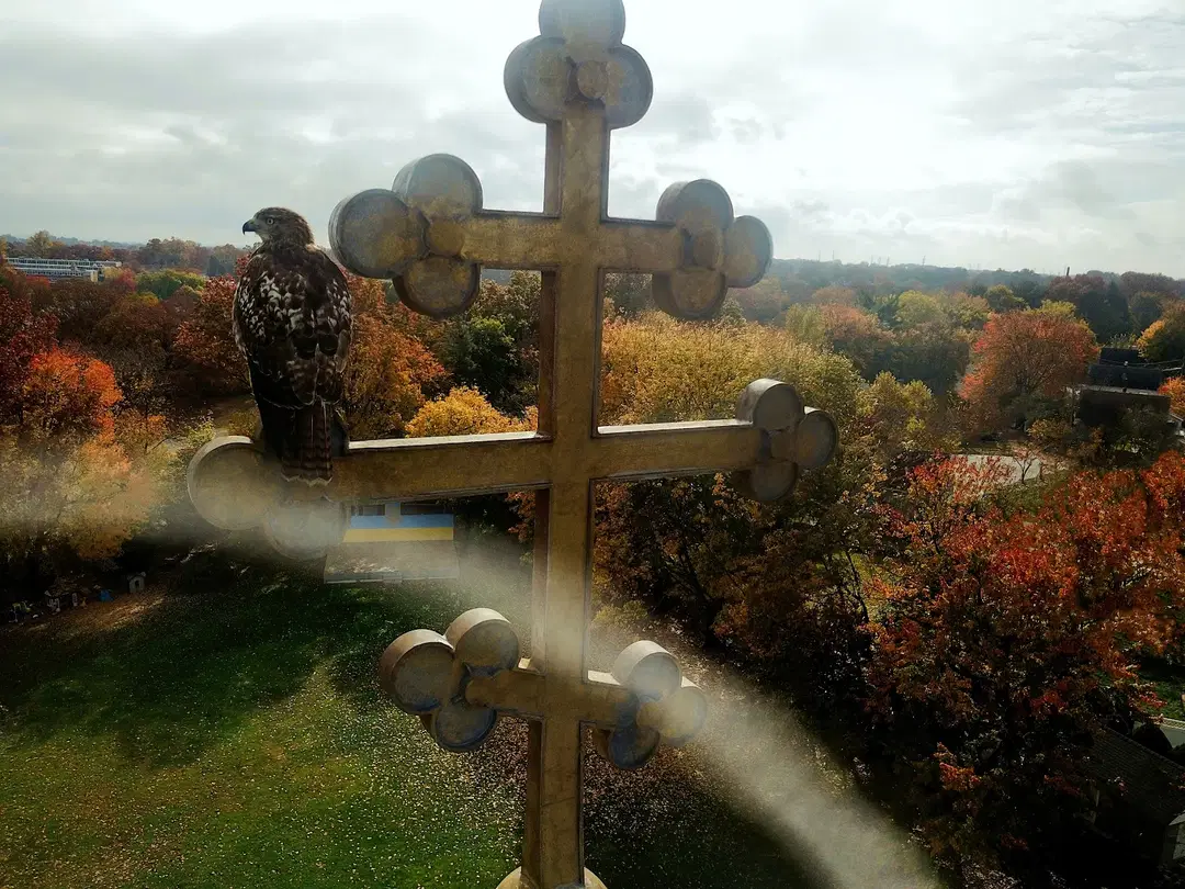 Ukrainian Orthodox Holy Ascension Cathedral, Clifton, NJ — photo 7 of 16